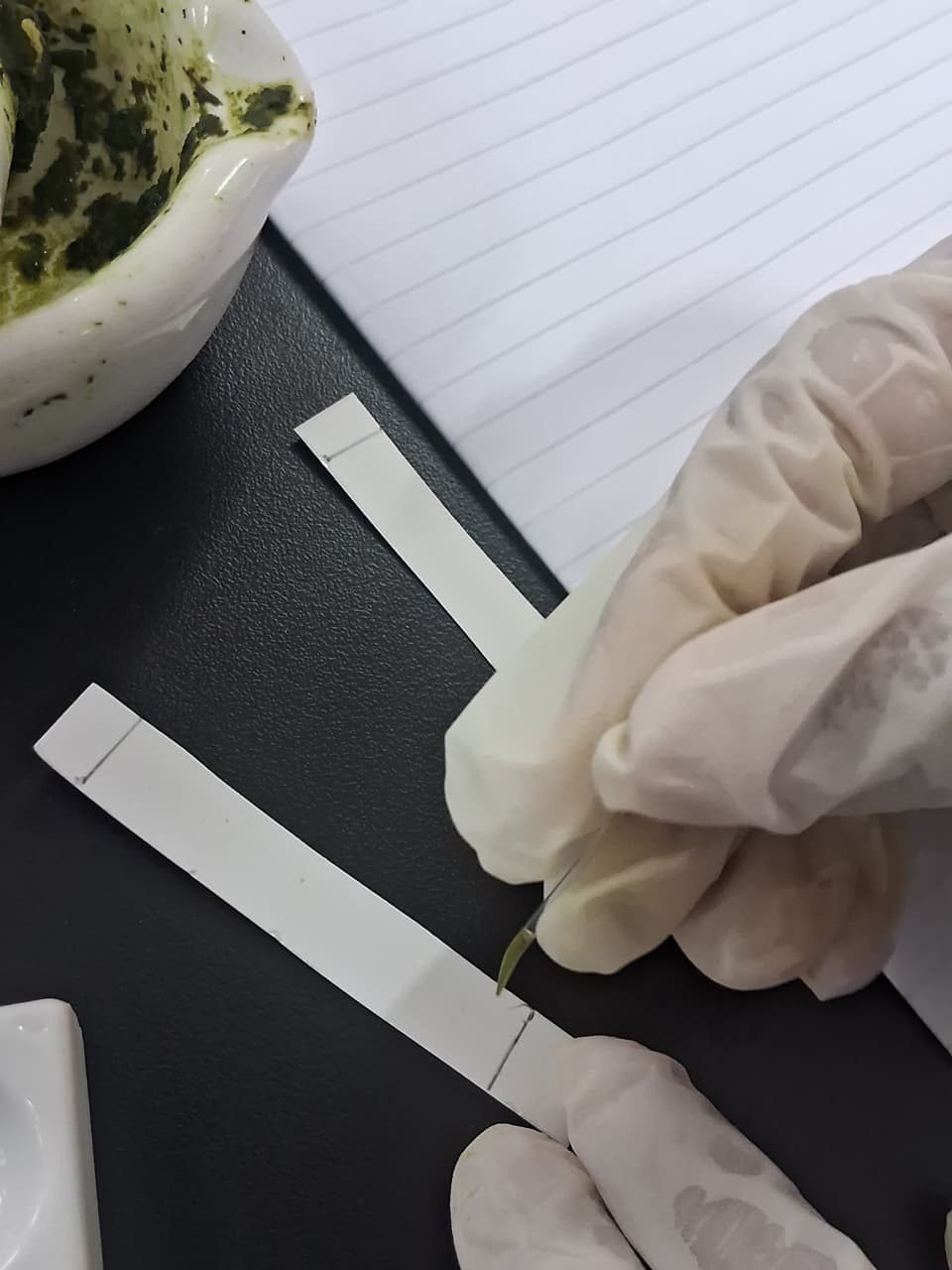 foto landscape  foto landscape